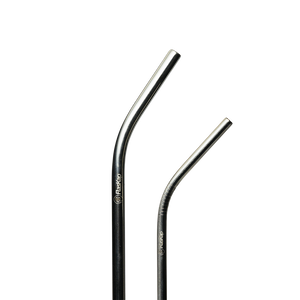 Stainless Steel Straw 2-Pack