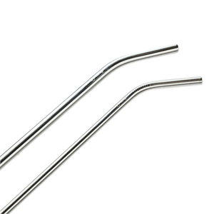 Stainless Steel Straw 2-Pack